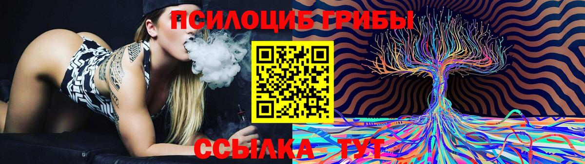 купить   Вход с VPN  Кировск  Галлюциногенные грибы Cubensis 